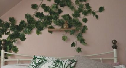 Plantas colgantes: 4 enredaderas con flor de interior y exterior para decorar las paredes de tu casa