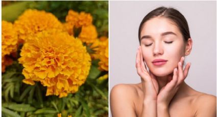 Antienvejecimiento: Cómo usar la flor de cempasúchil para rejuvenecer la piel, eliminar arrugas y líneas de expresión