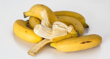 3 beneficios que no sabías que tienen las cáscaras de plátano en plantas de interior