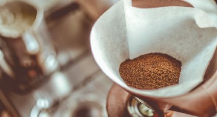 Remedios caseros: ¿Cómo hacer un repelente de mosquitos con residuos de café?