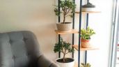Decoración del hogar: Haz un estante vintage para plantas y decora tu sala con poco dinero