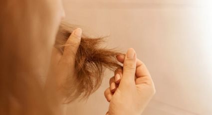 3 aceites para engrosar el pelo fino, escaso, delgado y aumentar volumen