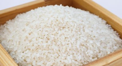 Jardinería: Conoce los beneficios del arroz crudo en las plantas