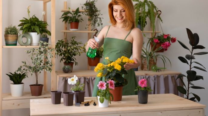 Jardinería: ¿Cómo preparar abono orgánico para floración RÁPIDA y crecimiento INMEDIATO de plantas y flores?