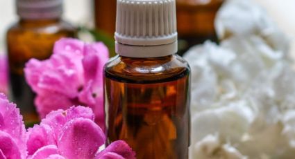 El aceite esencial que debes usar para rejuvenecer la piel madura, seca y con arrugas