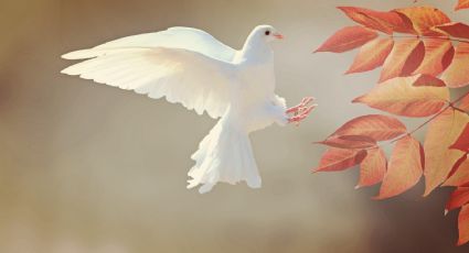 ¿Cuál es el significado espiritual del otoño?