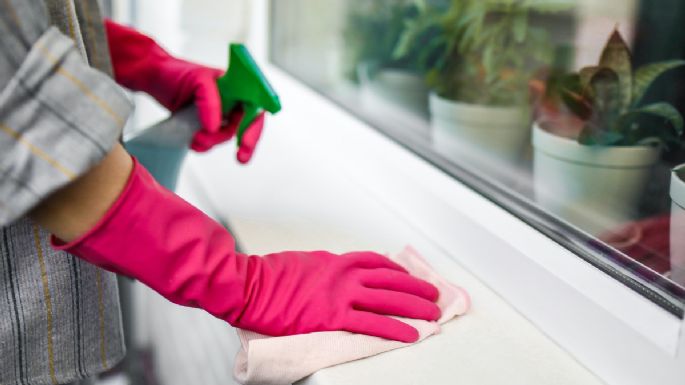 DIY: Aleja las chinches de tu casa con este repelente natural facilísimo
