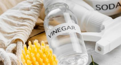 3 usos milagrosos del vinagre en la jardinería que son sumamente efectivos