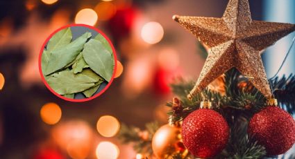 Feng Shui: Así debes usar el laurel en tu árbol de Navidad para atraer abundancia