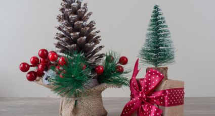 DIY: ¿Cómo decorar tus macetas en Navidad para lucir un jardín bonito antes de Año Nuevo?