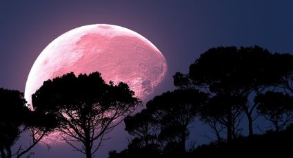 Luna rosa: Este es el ritual que debes hacer para atraer el amor y la buena suerte
