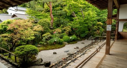 DIY: Transforma tu terraza en un jardín zen lleno de plantas para hacer que tu casa se vea elegante y lujosa