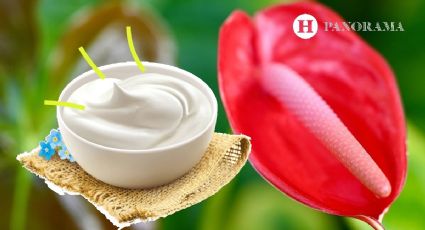 ¿Qué pasa si le pongo yogur a las plantas? 2 asombrosos beneficios que NO conocías