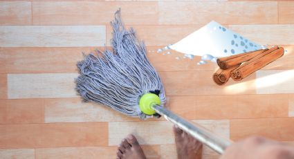 Haz PODEROSO limpiador de pisos con canela y vinagre para eliminar mal olor de la casa