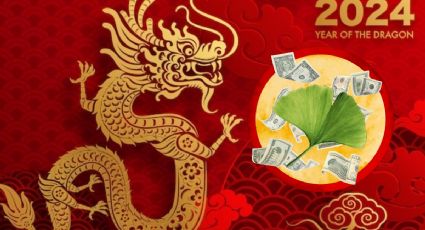 Planta de la buena suerte que debes tener en casa para atraer dinero en el Año Nuevo Chino del Dragón