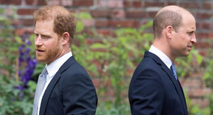 El príncipe Harry se reunirá con Carlos III, pero evitará a Kate y William a pesar del cáncer de la princesa de Gales