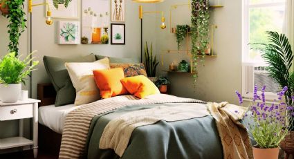 Estas son las plantas de interior que puedes colocar en tu habitación porque ayudan a dormir mejor