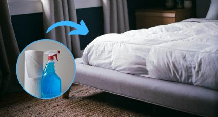 El secreto de los hoteles lujosos para limpiar el colchón en 5 minutos y sin mojarlo