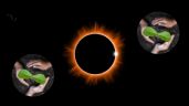 Foto ilustrativa de la nota titulada ¡Atención! Los efectos que el Eclipse Solar 2024 tendrá en tus plantas y jardín