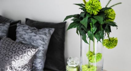 5 claves para decorar tu casa con plantas y lograr que se vea elegante