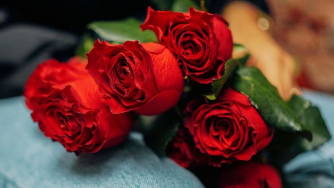 Día de las Madres: 5 flores rojas para regalar que simbolizan amor y admiración