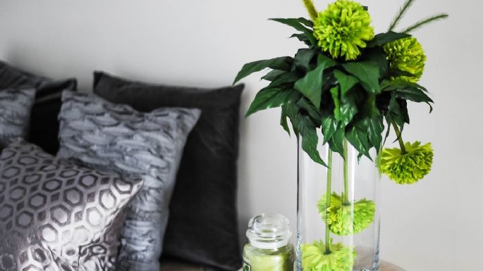 5 claves para decorar tu casa con plantas y lograr que se vea elegante