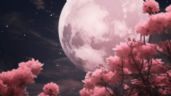 Luna Rosa 2024: ¿Cómo afectará a los signos zodiacales?
