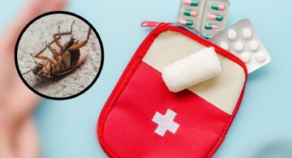 Elimina las cucarachas DEFINITIVAMENTE con un medicamento de tu botiquín