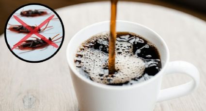 Aplica una cucharadita de café en tu casa para eliminar cucarachas para siempre