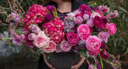 5 plantas de interior con flores ideales para regalar el Día de las Madres