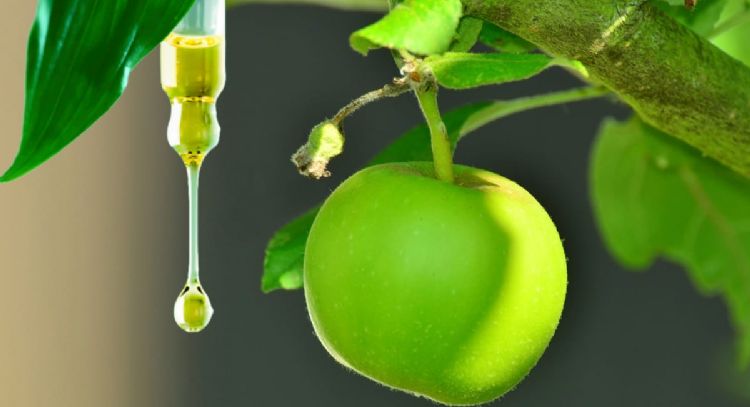 Aceite de vitamina C para eliminar la plagas de tus árboles frutales