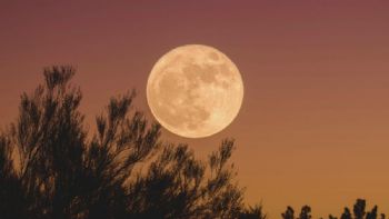 Luna de flores 2024: ¿Cuándo es y qué significa esta luna llena?